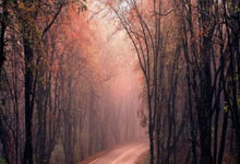 开云体育官网-IG力克DFM，Keria单局斩获MVP四强赛2:0