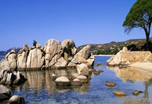 开云体育app-C9绝杀TL，Xiaohu完成史诗逆转淘汰赛3:0