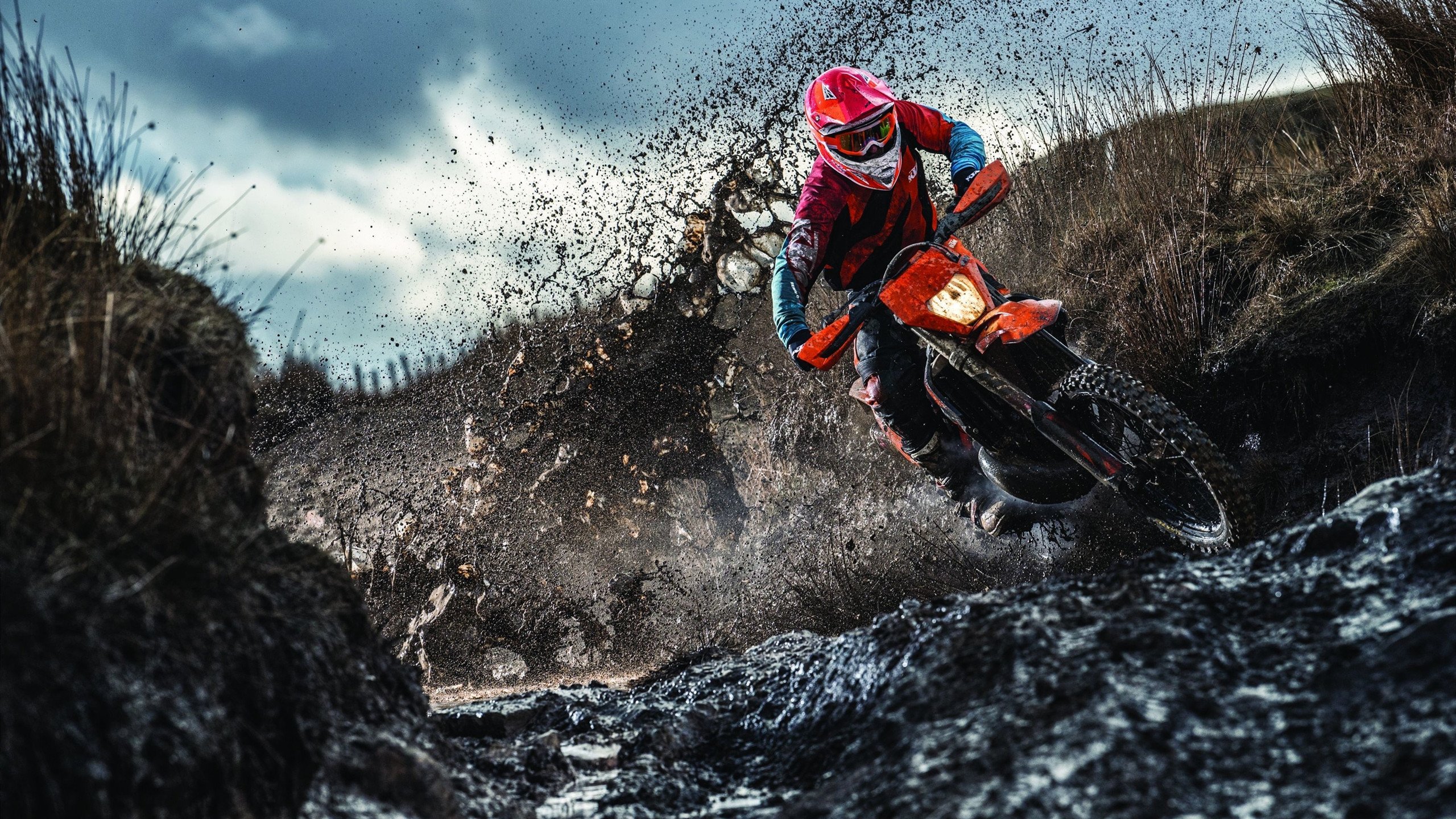 骑士鏖战浙江队，锡安在欧冠决赛接管比赛