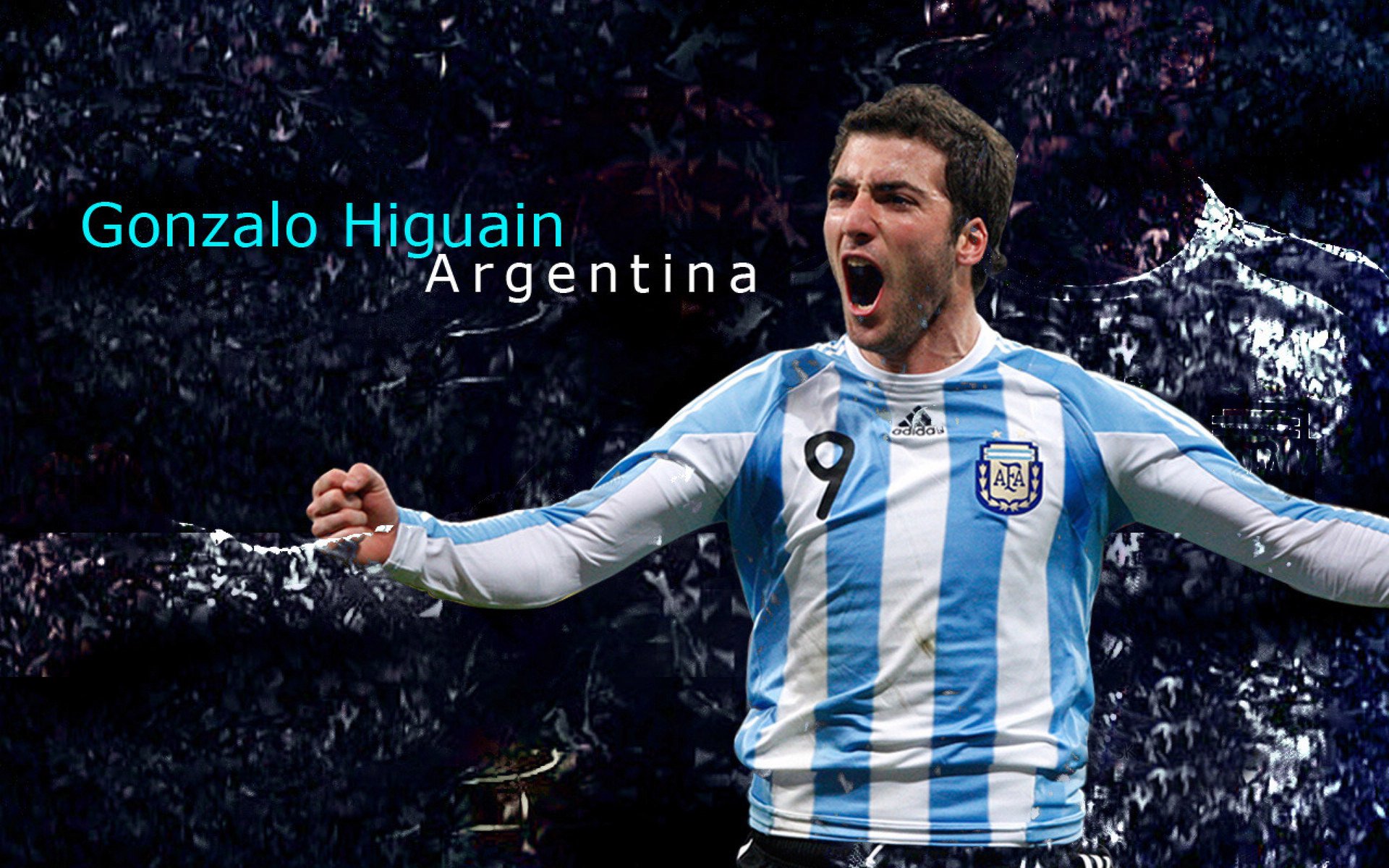 哈利伯顿的魔术时刻，猛龙展翅碾压黄蜂的战术解析